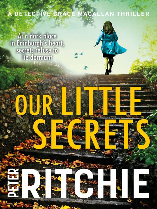 Title details for Our Little Secrets by Peter Ritchie - Available